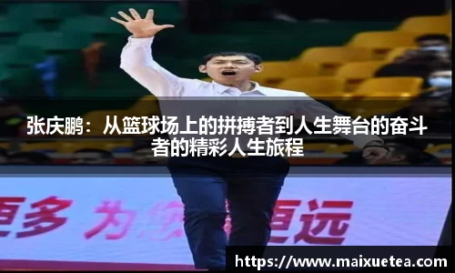 星空·综合体育官方网站