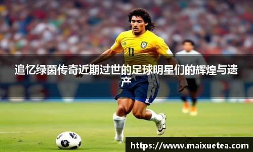 星空·综合体育官方网站