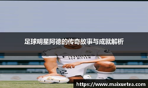 星空·综合体育官方网站