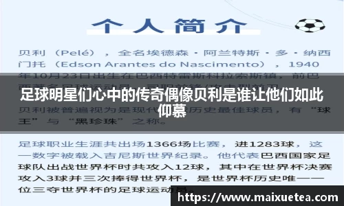 星空·综合体育官方网站